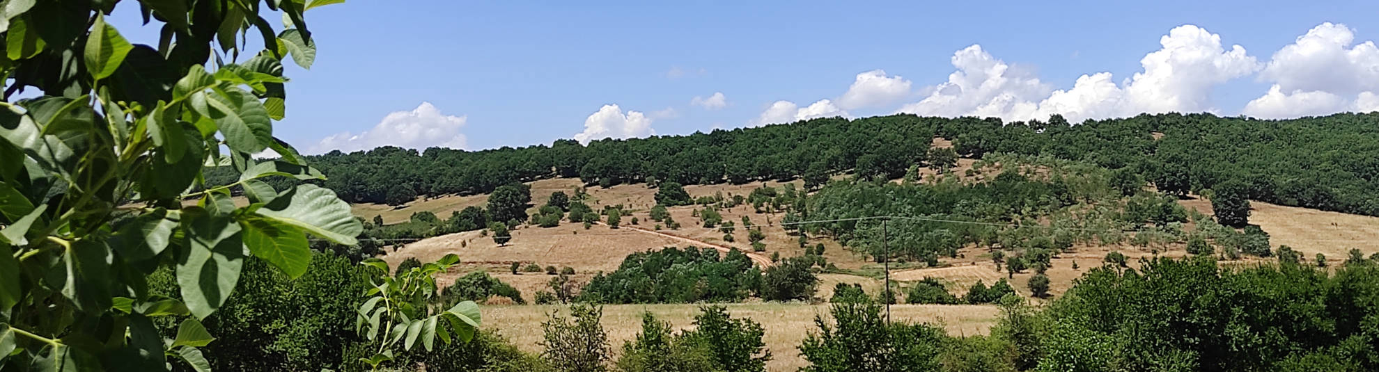 Η ιδέα της οικολογικής φάρμας