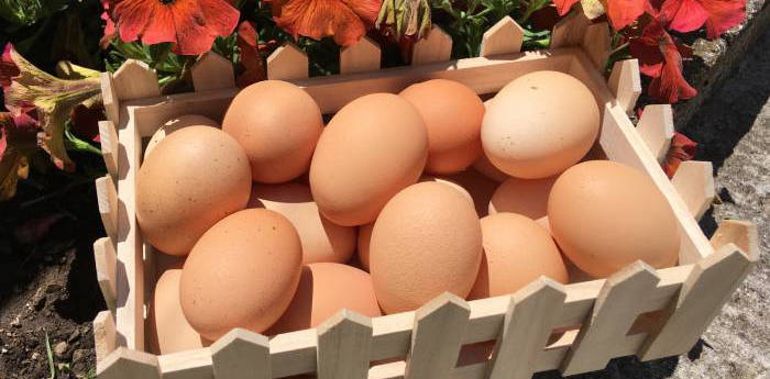Διατροφική αξία των αυγών