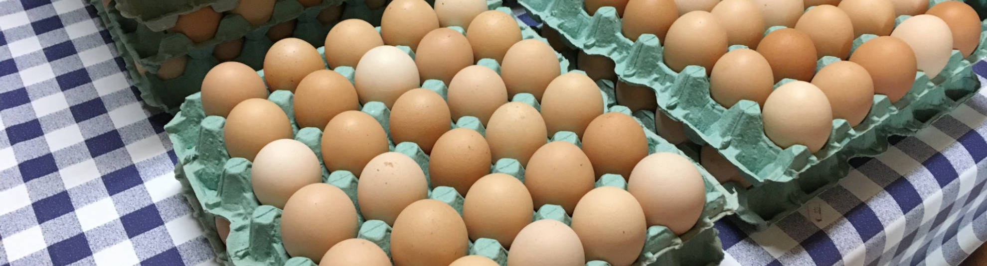 Αυγά από κότες ελεύθερης βοσκής